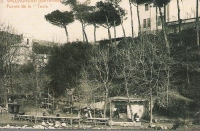 Foto antiga del Llibre Guia “Parc de Collserola”