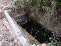 12.10.2008. Imatge de la bassa on hi ha l’aiguaneix.