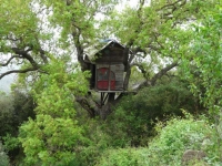 13.- La casa de l arbre.JPG