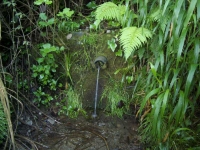 05.05.2007. Imatge de la bassa i el tub.