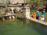 Imatge de la bassa de Can Parellada.