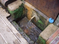 13.06.2011.- Imatge de la pica i del tub.