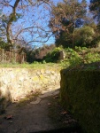 02.03.2018.- Vista general de la font. 02.03.2018.- Vista general de la font.