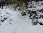 20.03.2018.- Font de la Salamandra nevada.