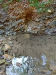 20.04.2018.- Imatge del punt de naixement de l’aigua. 20.04.2018.- Imatge del punt de naixement de l’aigua.