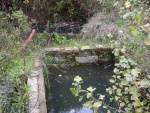 04.11.2012. Vista de les dues basses plenes d’aigua.