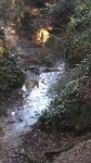 05.01.2019. Vista general de la llera del torrent i la font. 05.01.2019. Vista general de la llera del torrent i la font.