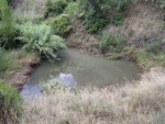 07.08.2010. Imatge de la gran bassa.
