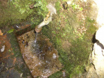 27.11.2005.- Imatge de la bassa i els tubs.