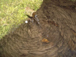 11.03.2007. Imatge del tub.