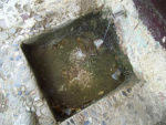 10.06.2007. Imatge de la bassa i el tub.