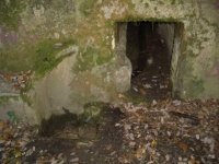 Imatge de l’entrada de la mina. A l’esquerra i a baix hi ha el tub de la font.