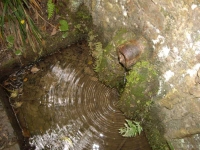 15.05.2009. Imatge de la bassa i el tub.