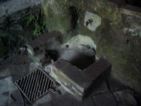 10.03.2007. Imatge de la bassa i el tub.