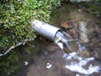 13.03.2010.- Imatge del tub. 13.03.2010.- Imatge del tub.