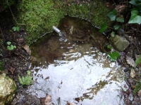 13.03.2010.- Imatge de la bassa i dels tubs.
