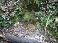 13.03.2010.- Vista general de la font. 13.03.2010.- Vista general de la font.