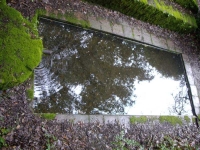 29.03.2009. Imatge de la bassa i el tub.