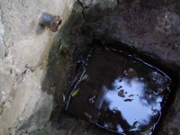 02.06.2007. Imatge de la bassa i el tub.