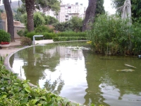 04.08.2010. Imatge de l’estany.
