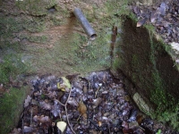 04.04.2009. Imatge de la bassa i el tub.