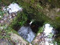 13.03.2010. Imatge de la bassa i el tub.