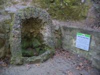 31.03.2007. Imatge de la cova on hi ha la bassa i el tub.