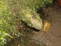 22.10.2005. Imatge del tub. 22.10.2005. Imatge del tub.