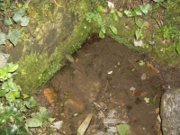 22.10.2005. Imatge de la bassa i el tub. 22.10.2005. Imatge de la bassa i el tub.