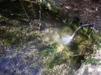Imatge del tub i la gran bassa.
