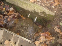 27.11.2005. Imatge de la bassa i els tubs.