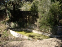 Imatge de la bassa safareig.