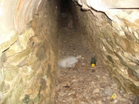 02.12.2006. Imatge de la mina de sota de l’embassament.