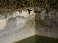 12.12.2009 Imatge del tub que aboca a la bassa.
