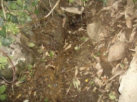 Imatge del filet d’aigua que aflora entre les pedres. Imatge del filet d’aigua que aflora entre les pedres.