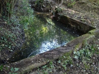 07.04.2012. Imatge del safareig. 07.04.2012. Imatge del safareig.